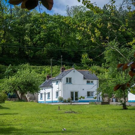 Tucking Mill - 3 Bedroom Holiday Home - Stepaside Stepaside  Екстер'єр фото